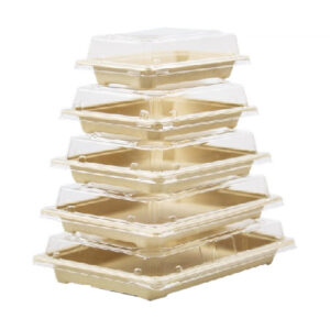 JF-02 series fiber pulp sushi container