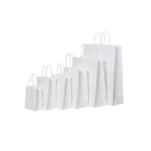 JF18 series White kraft paper bags with twisted handles