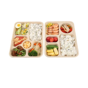 JF23-SC2854 compartments pulp containers