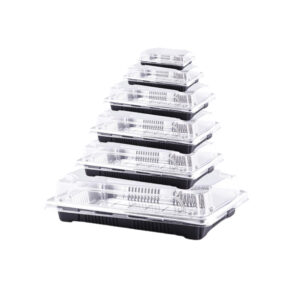 JF1-1000-08 Silver disposable sushi containers
